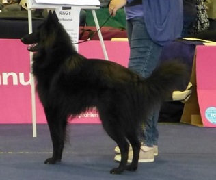 Bandido de Geracao nova